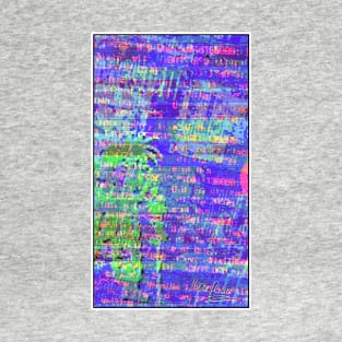 𝘗𝘐𝘟𝘌𝘓𝘞𝘈𝘙𝘙𝘐𝘖𝘙.𝘙𝘖𝘔 [CRT] T-Shirt